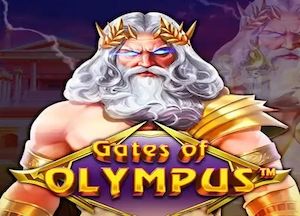 General information about Gates of Olympus slot