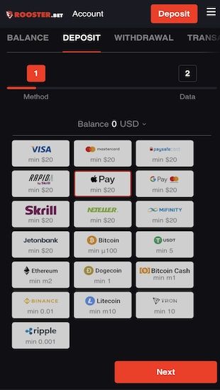 Open Cashier Section